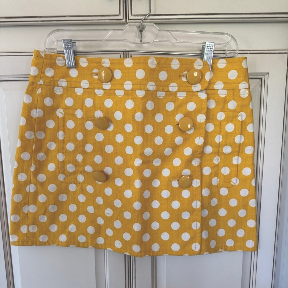 J Crew Skirt
